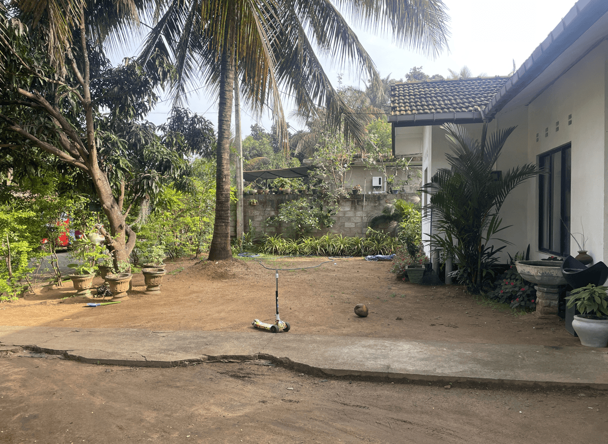 A beautiful yard with palm trees, plants, and a scooter on the ground.