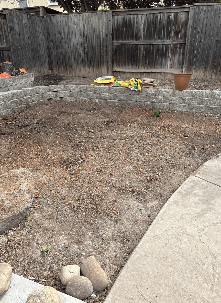 A bare area in a yard, planned for roses, rocks, and pavers.