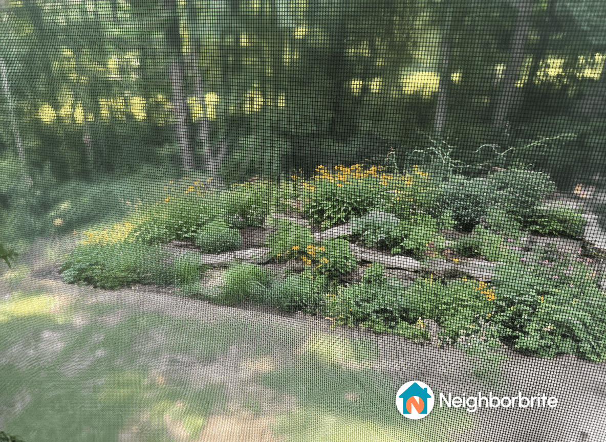 A garden bed with various plants in a low sunlight area, viewed through a screen.