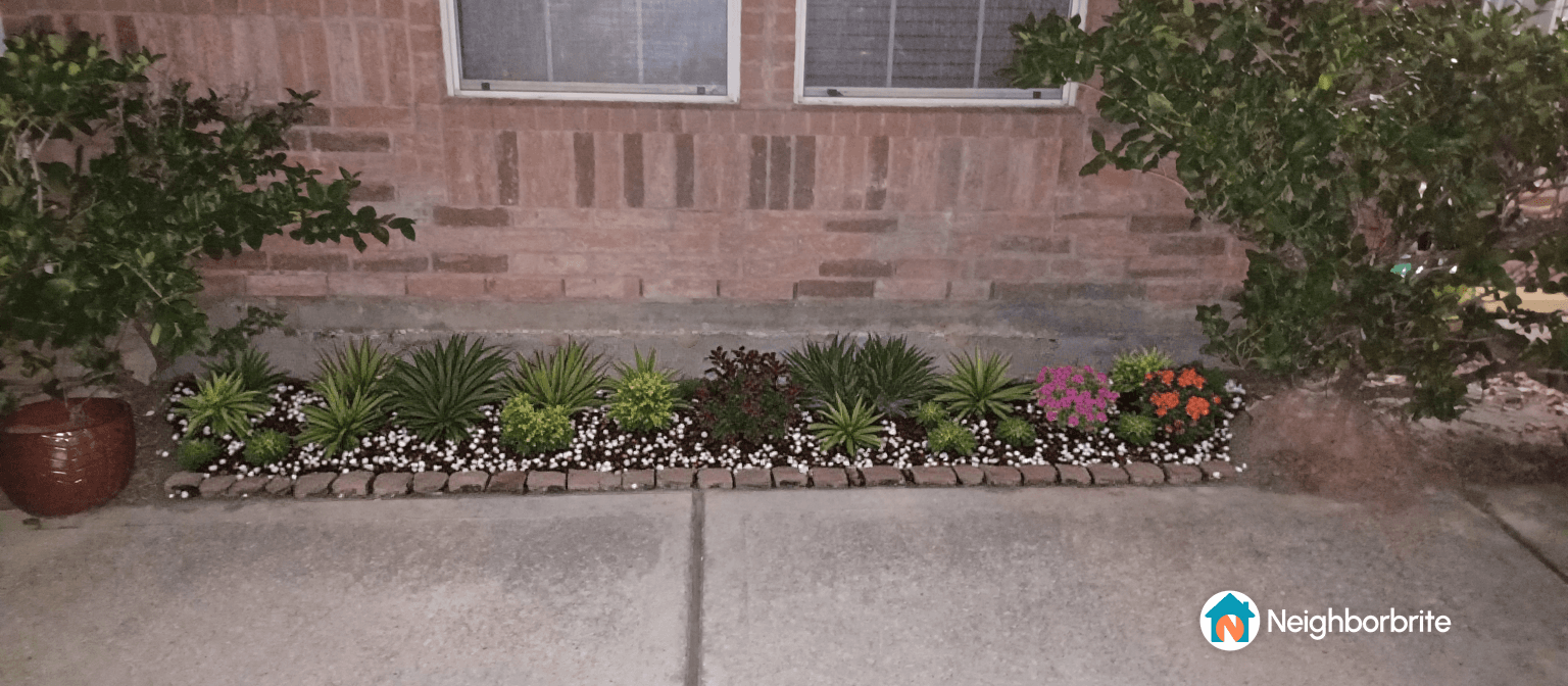 A garden bed with various plants, seeking identification and climate advice.