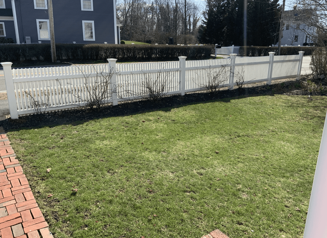 A white fence with struggling rose bushes and green lawn.