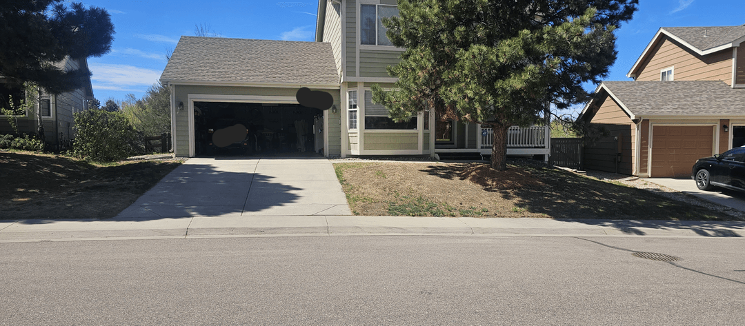 Front yard with potential for wildflowers and pathway ideas.
