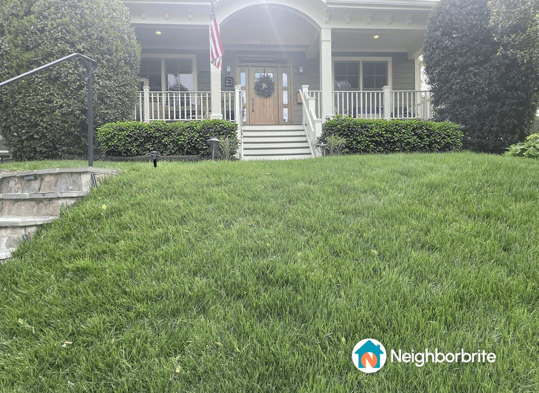 A front yard with lush green grass and shrubs, seeking color suggestions.