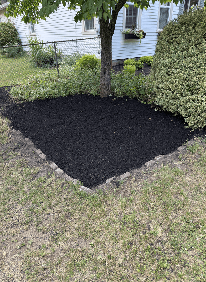 Small mulched area in front yard with a tree and shrubs.