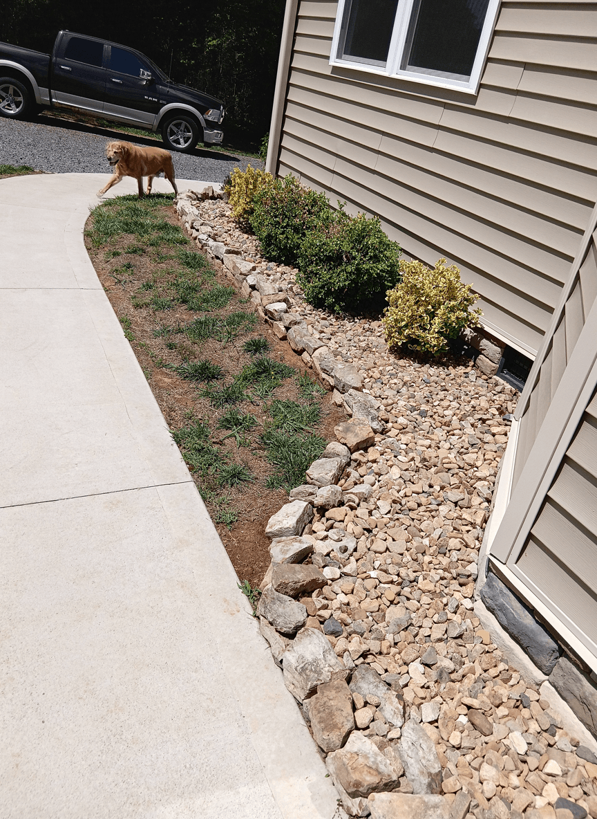 A landscaped yard featuring rocks, grass, and bushes with a dog walking nearby.