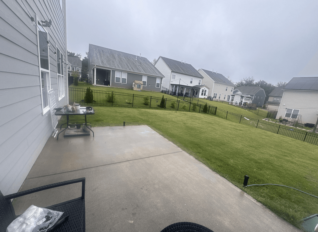 View of a backyard with potential design elements like trees and a patio.