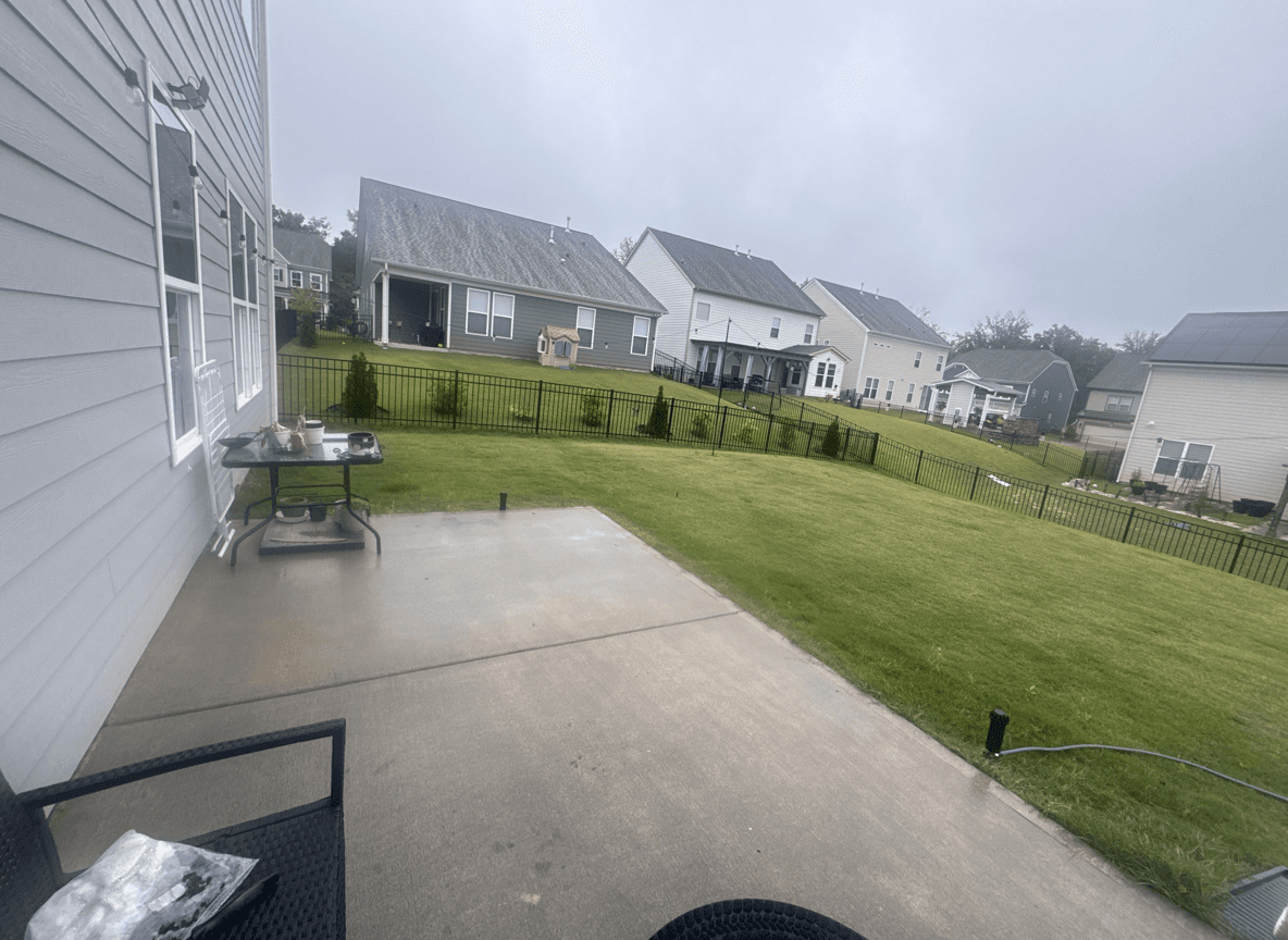 View of a backyard with potential design elements like trees and a patio.