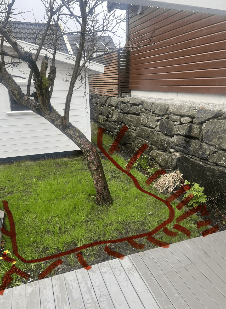 A yard with a tree and a red marked area for redesign.