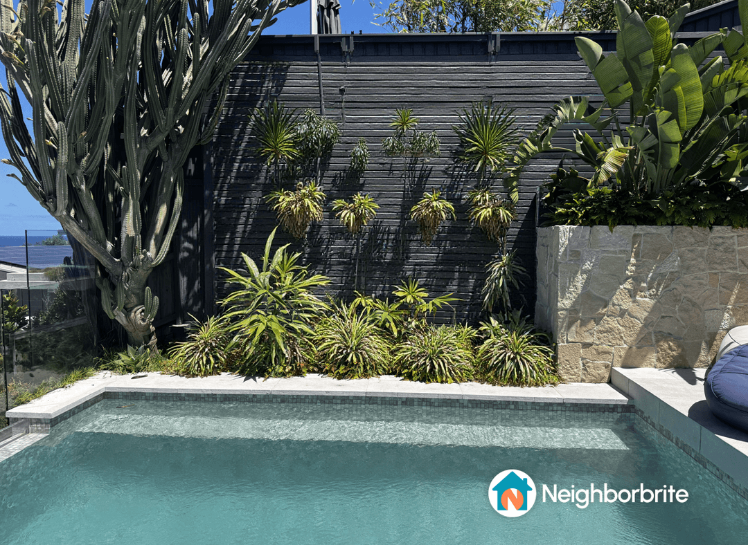 A poolside view featuring drought-resistant plants and a modern design.