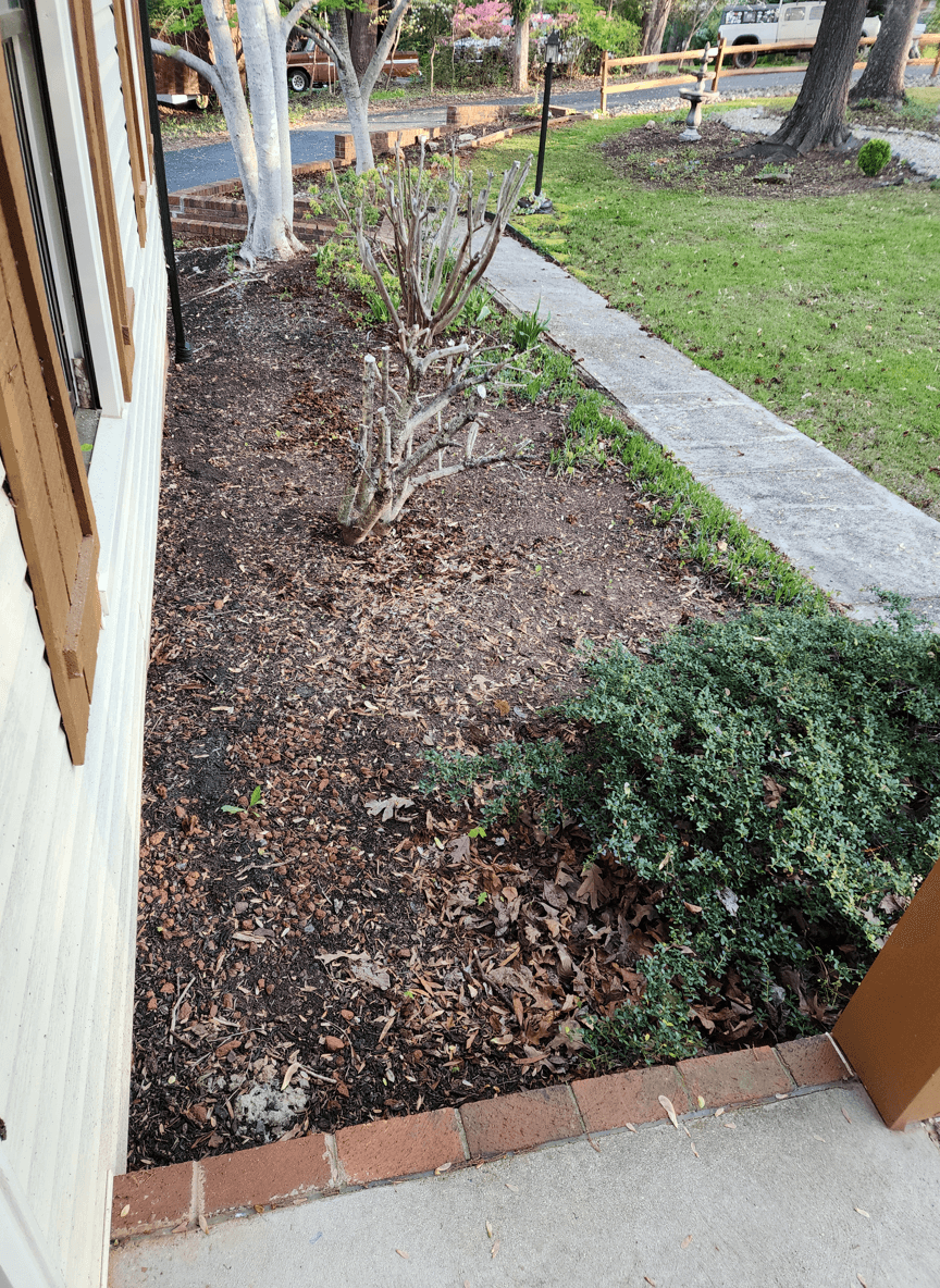 A garden area with bare soil and some plants, ready for patio transformation.