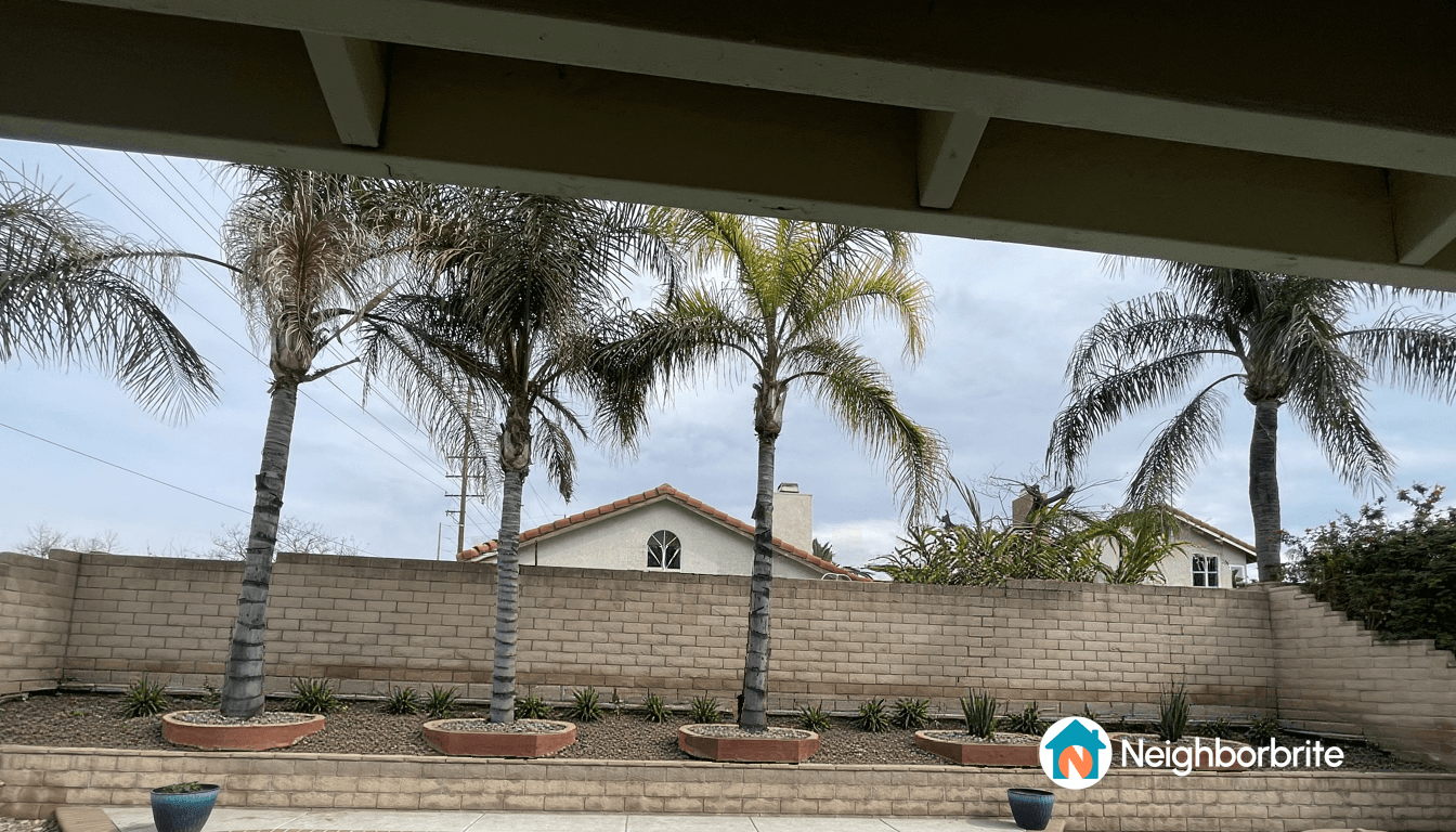 View of palm trees and planters in a landscaped yard.