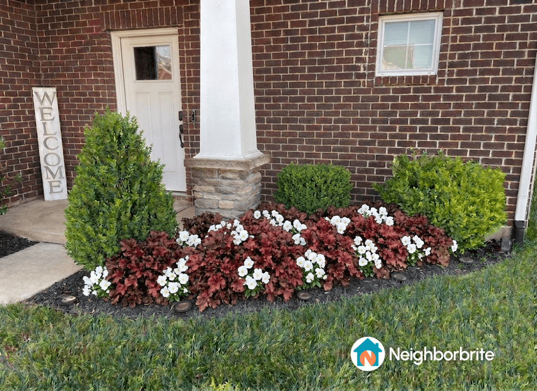 A welcoming front yard with colorful flowers and shrubs.