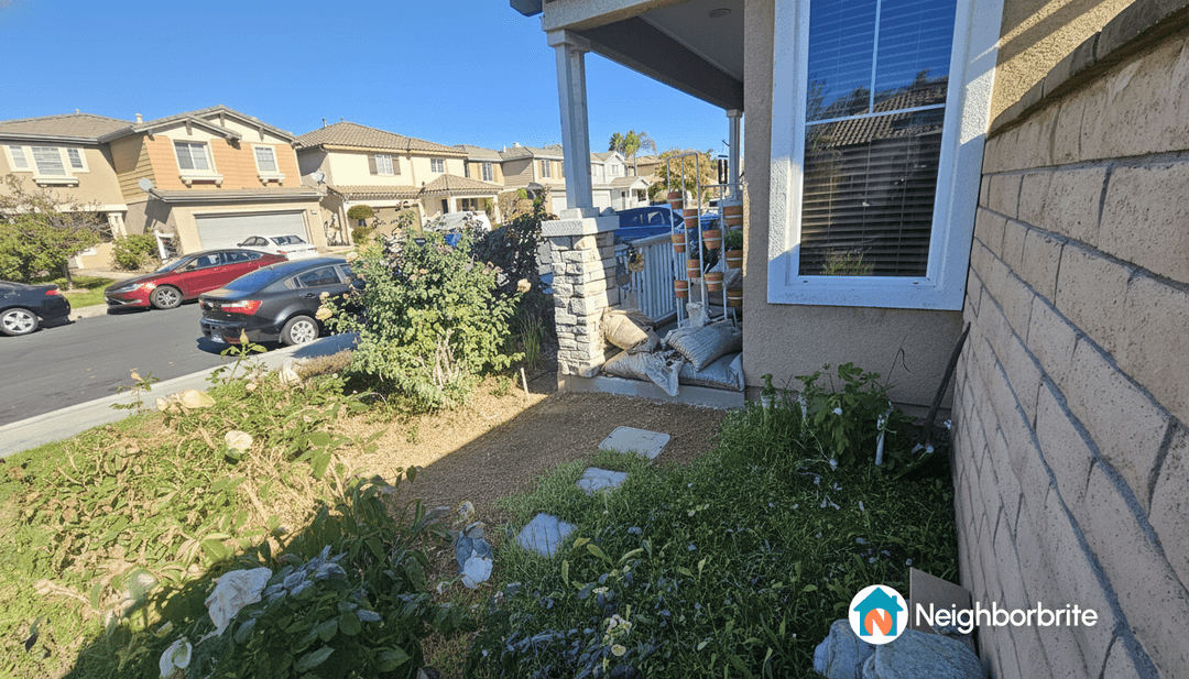 A view of a yard with unaltered landscaping and some potted plants.