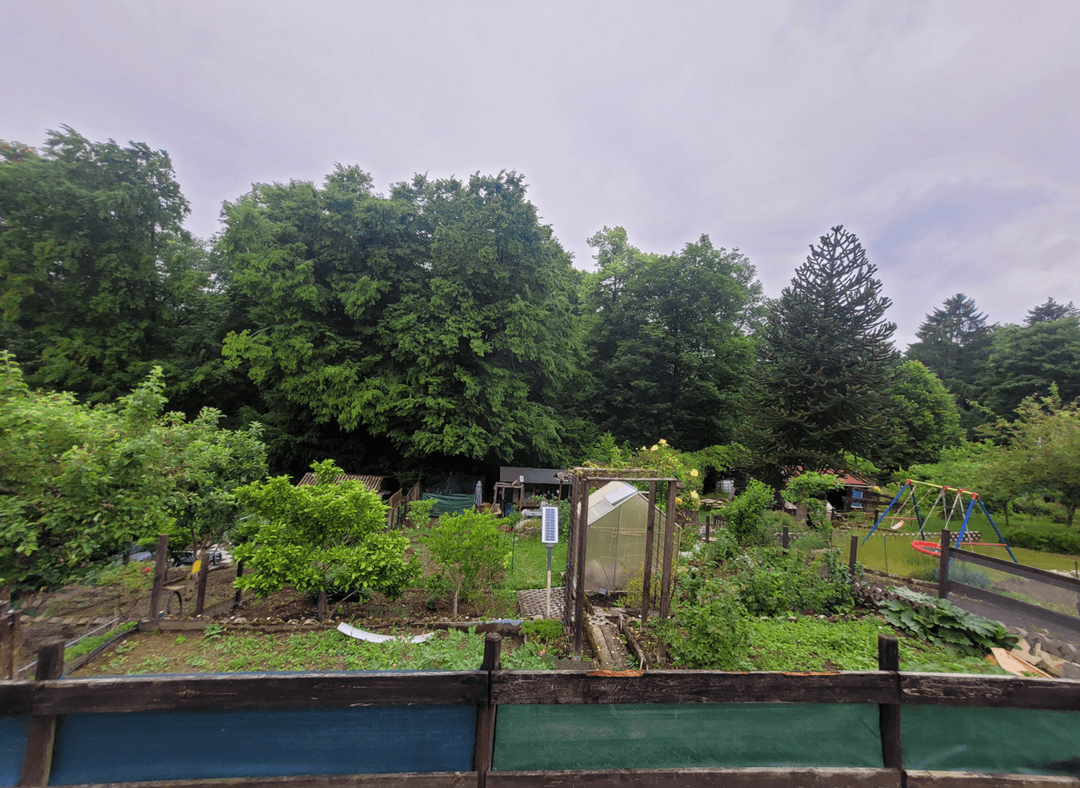 A lush garden with fruit trees, vegetables, and minimal concrete.