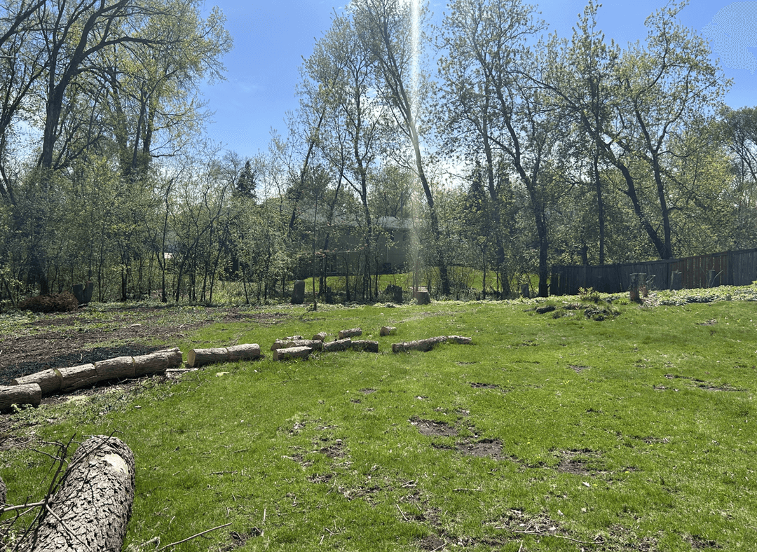 A spacious backyard with logs on the ground and trees in the background.