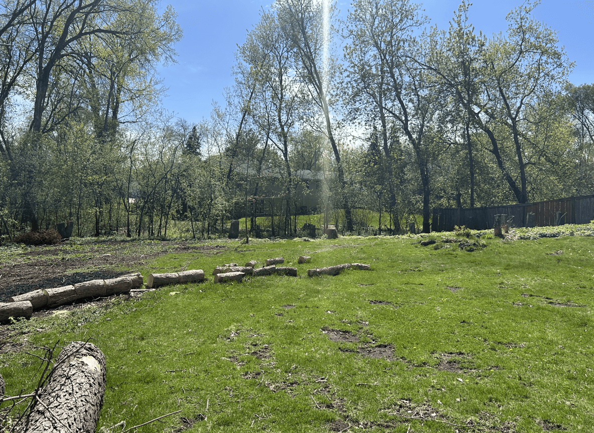 A spacious backyard with logs on the ground and trees in the background.