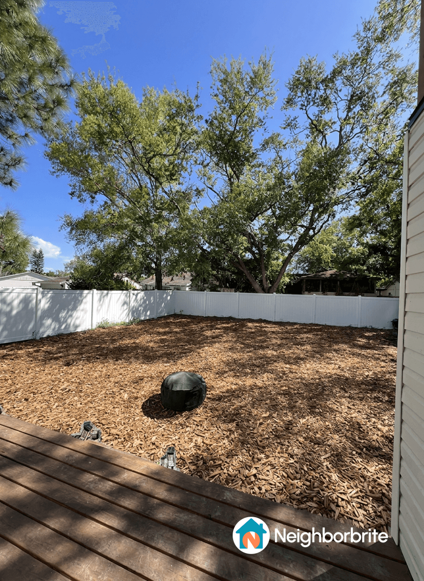 A yard with wood chips, trees, and a black object, ready for landscaping.