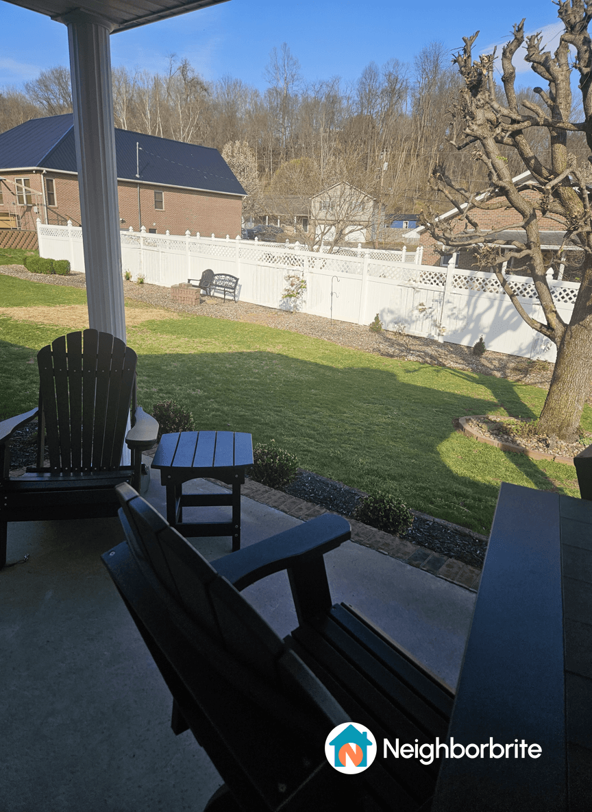 View of a yard with evergreens, a small tree, and patio seating.