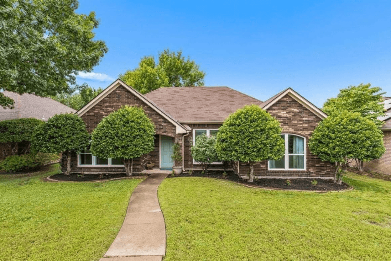 Front yard with trees that need to be shaped into cone forms.