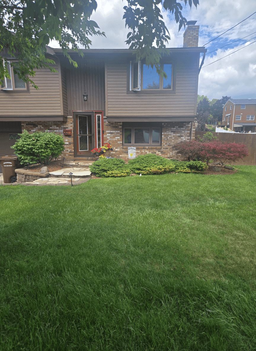 Front yard with stone path, shrubs, and flowers, seeking minimal care redesign.