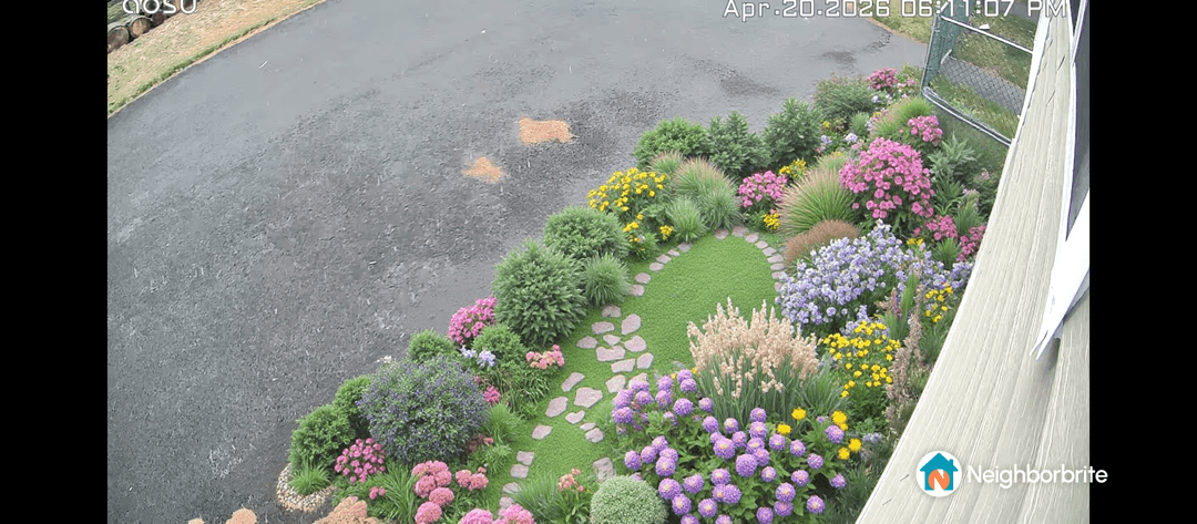 A vibrant garden with various flowers and greenery.