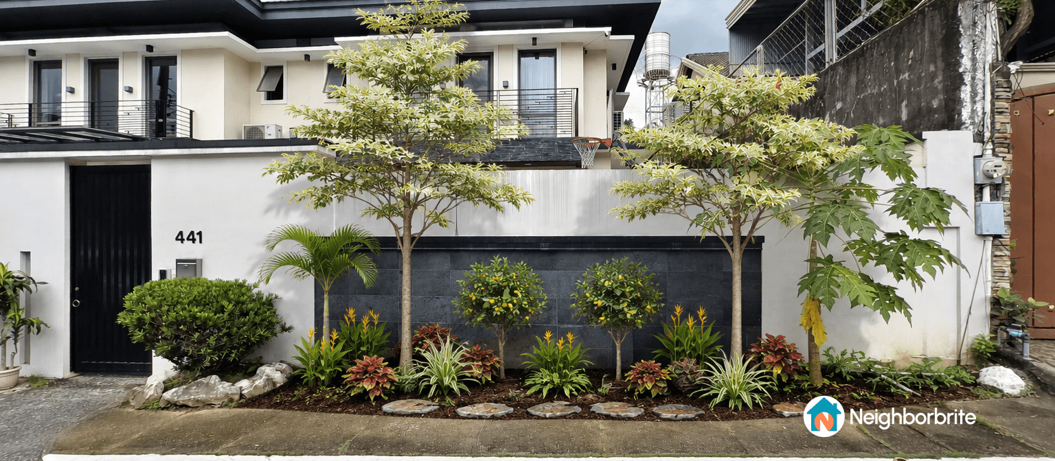 A front yard with trees and plants, suggesting a redesign.