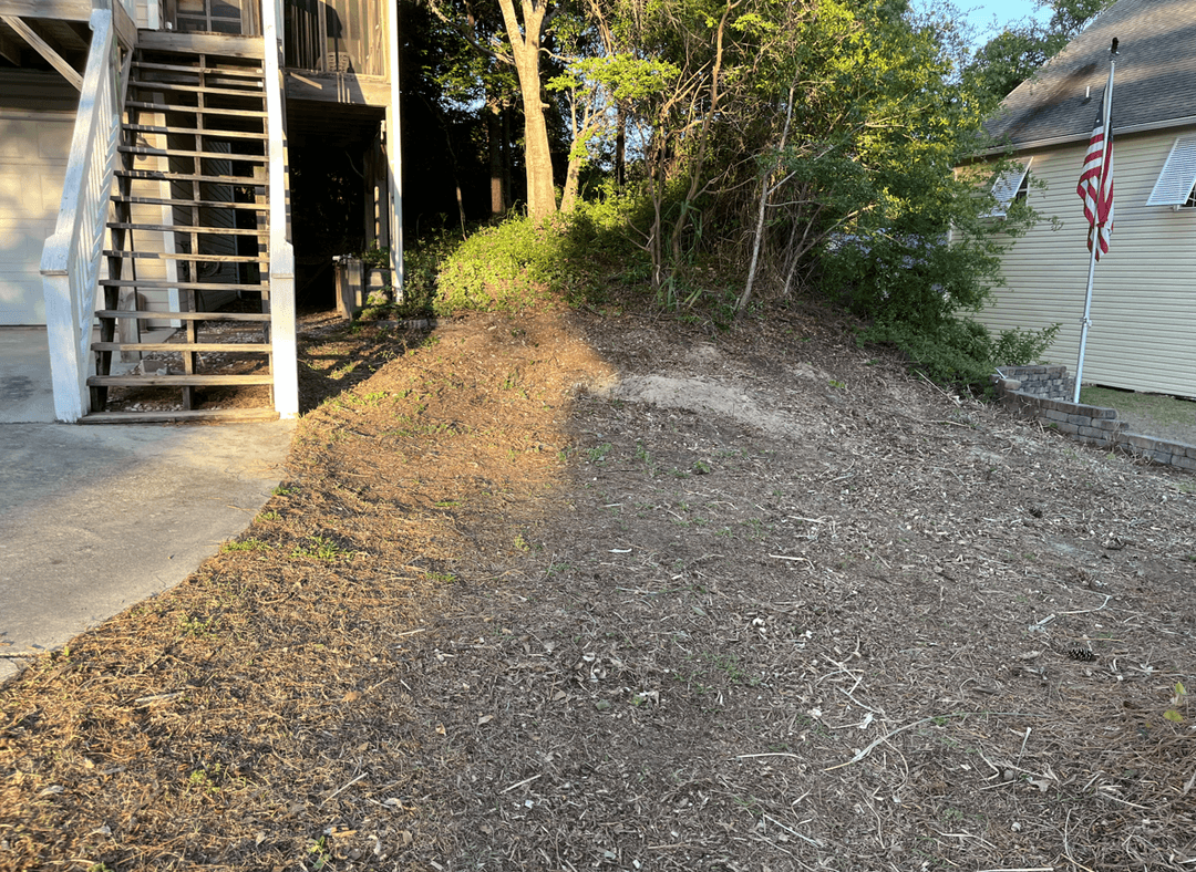 A cleared yard area with a slope, surrounded by greenery.