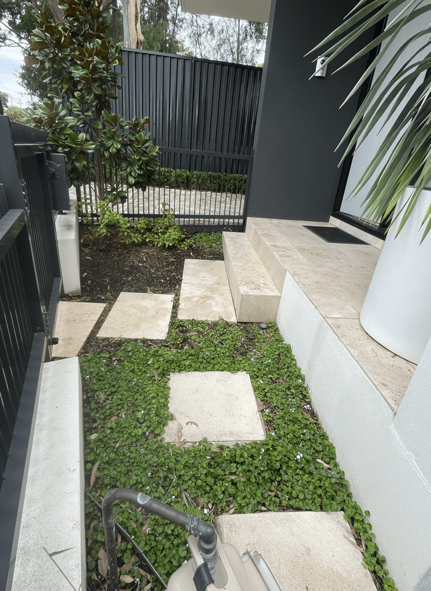 A newly designed garden area with stepping stones and greenery.