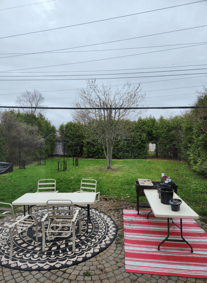 Backyard view with tables and a gazebo frame setup.
