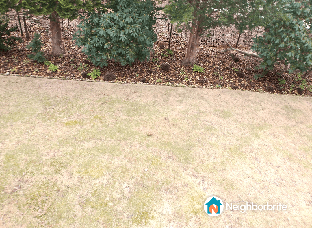 A yard with a planned strip for dwarf dogwoods and hydrangeas.