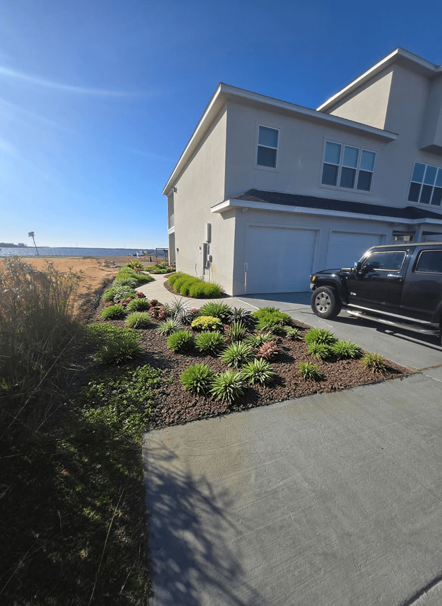 A landscaped area with various plants beside a driveway and house.