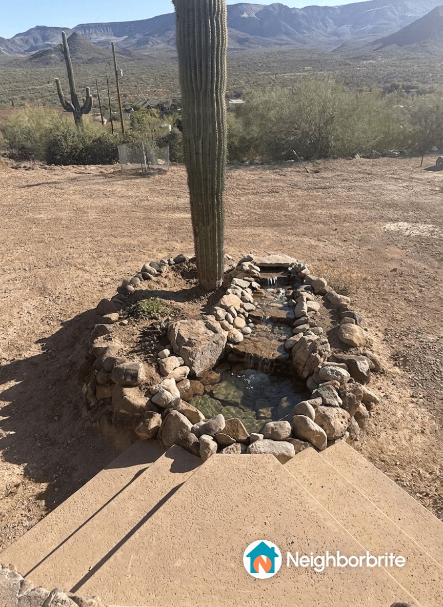 A cactus surrounded by a stone-bordered water feature with two waterfalls.