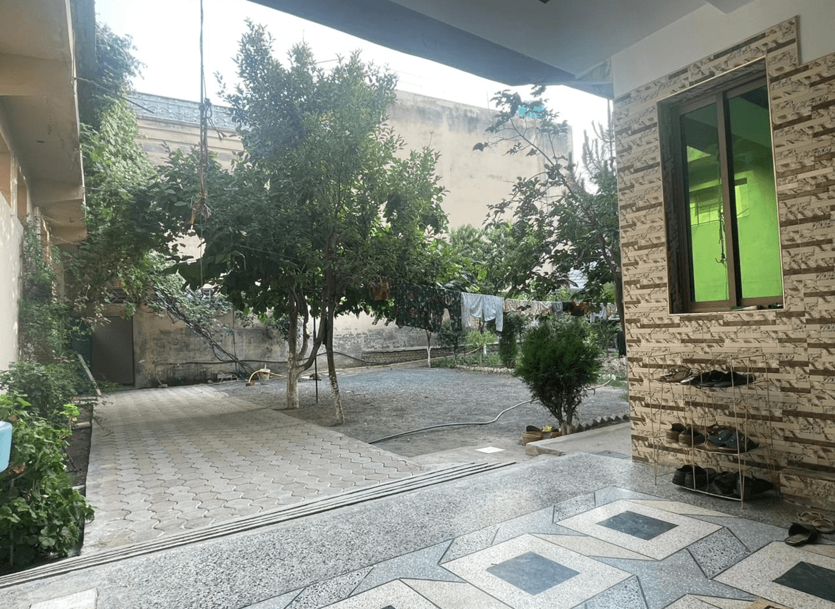 View of a yard with trees, clothes drying, and a pathway.