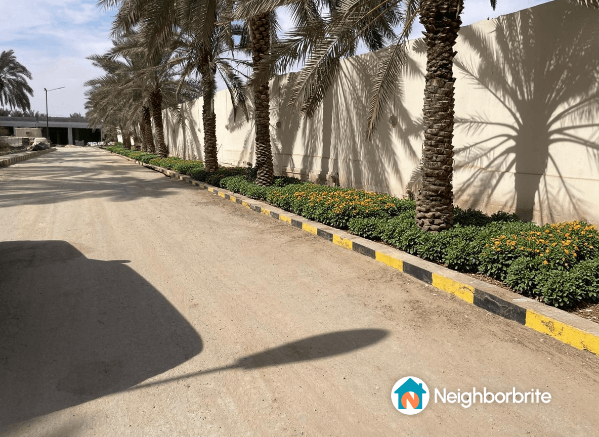 A pathway bordered by palm trees and colorful flowers.