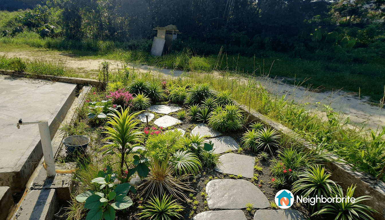 A garden with various plants and stone pathways, seeking plant recommendations.