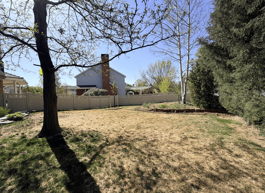 A yard with a tree, grassy area, and a mound in the back right corner.