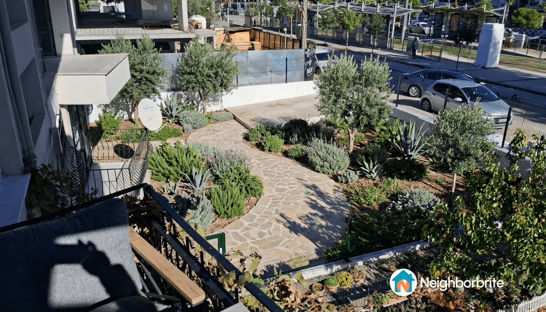 A modern Mediterranean garden featuring olive trees and a stone pathway.