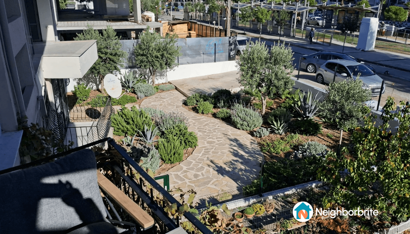 A modern Mediterranean garden featuring olive trees and a stone pathway.
