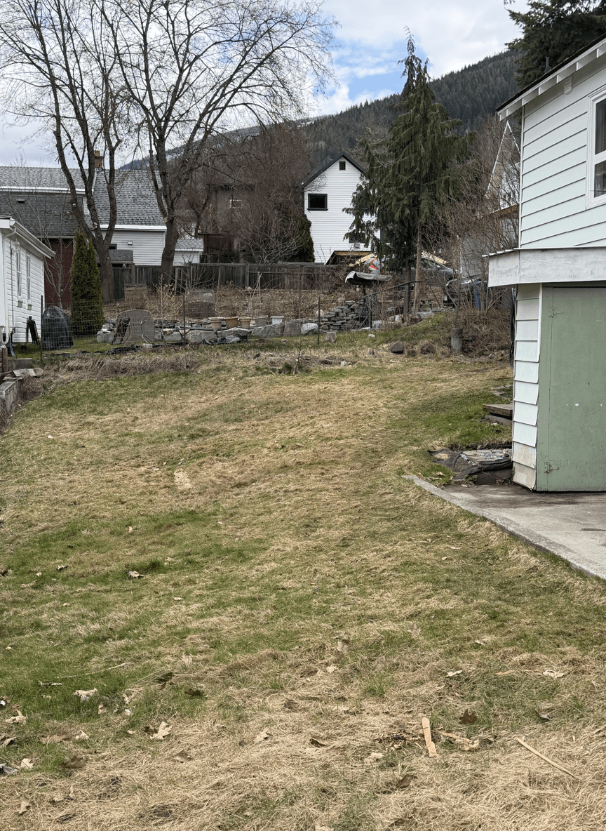 A grassy yard with trees and a sloped area, ideal for landscaping.