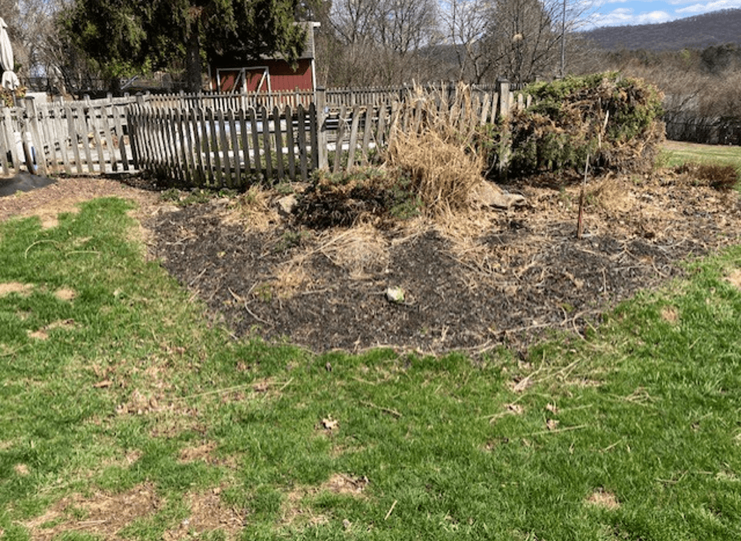 Yard with shaded and sunny areas, looking for deer-resistant flowers.