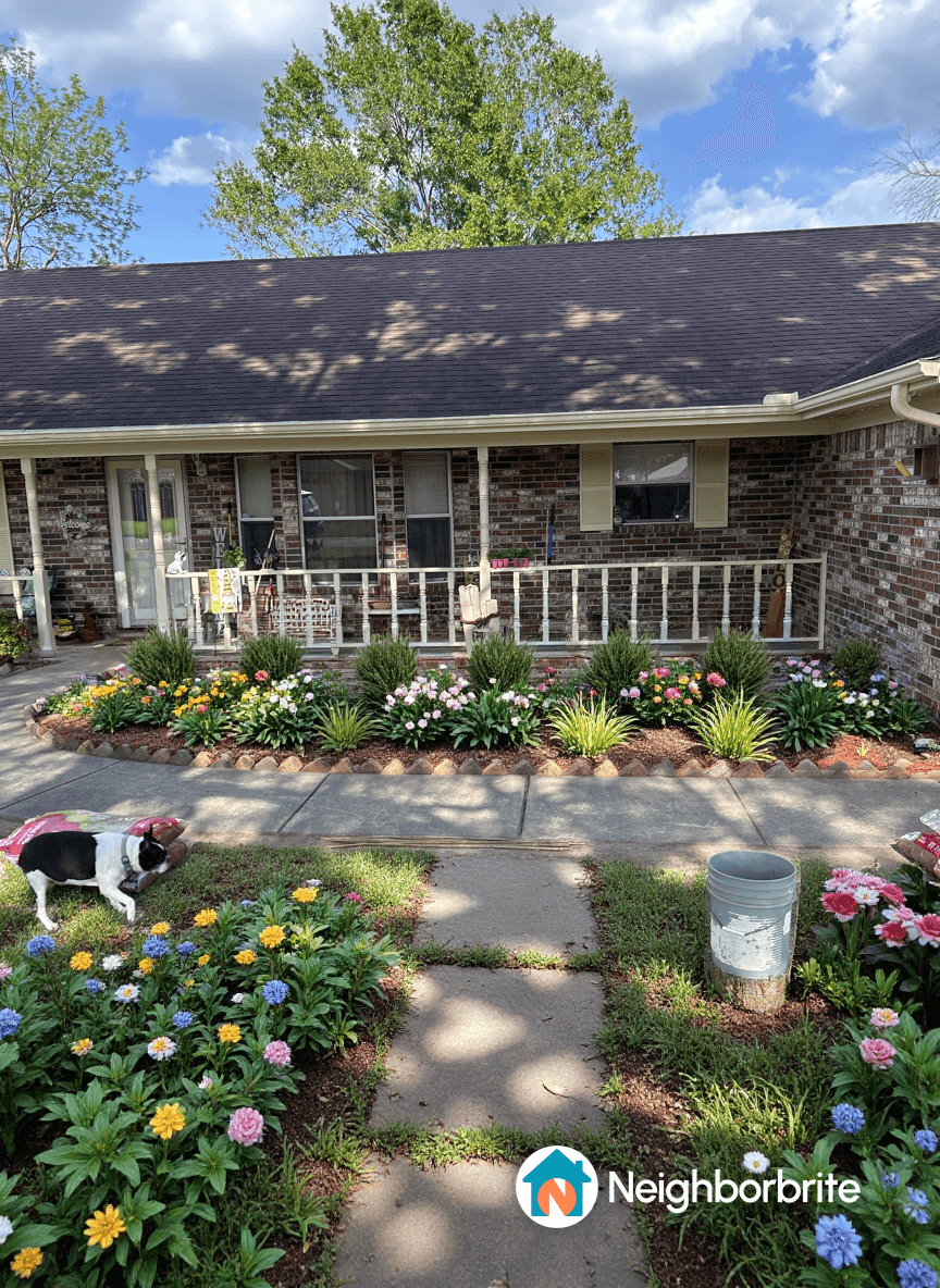 Colorful flower bed with a dog, seeking tree suggestions.