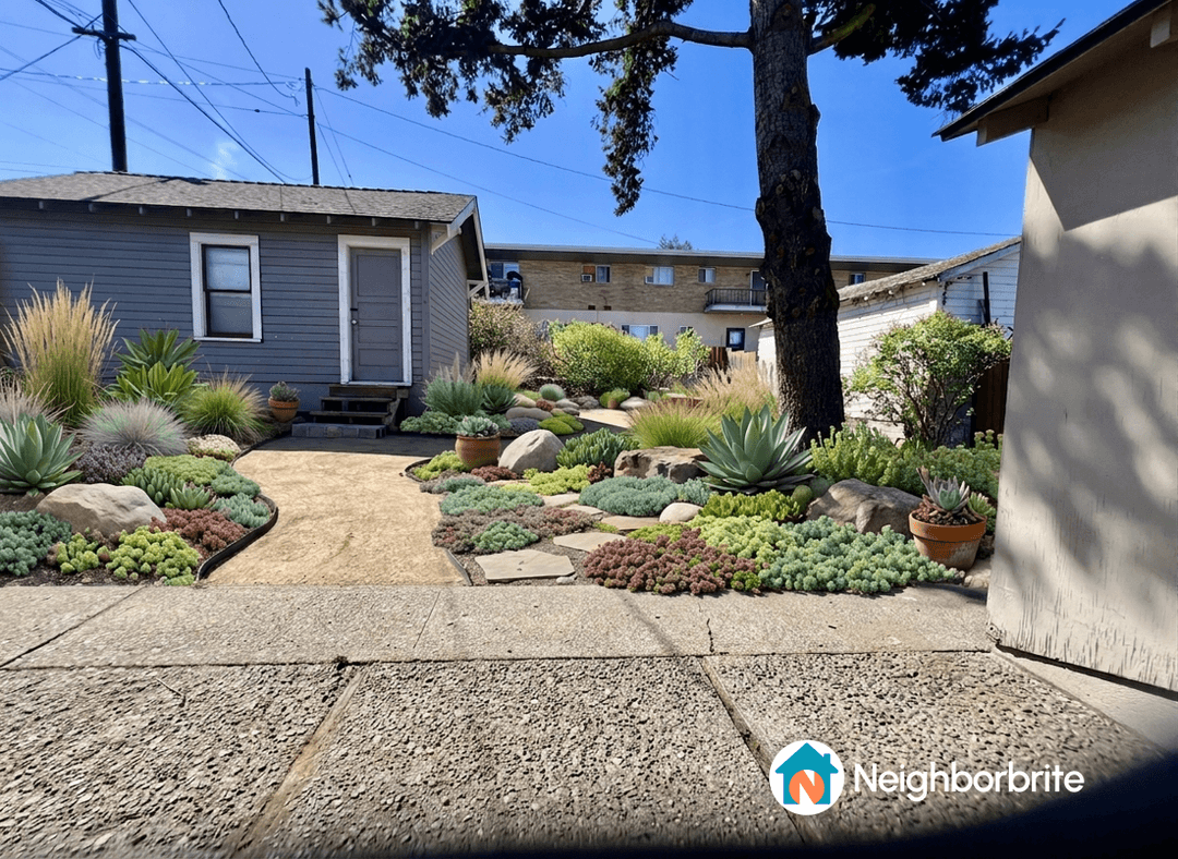 A landscaped yard with various plants and stones, seeking irrigation advice.