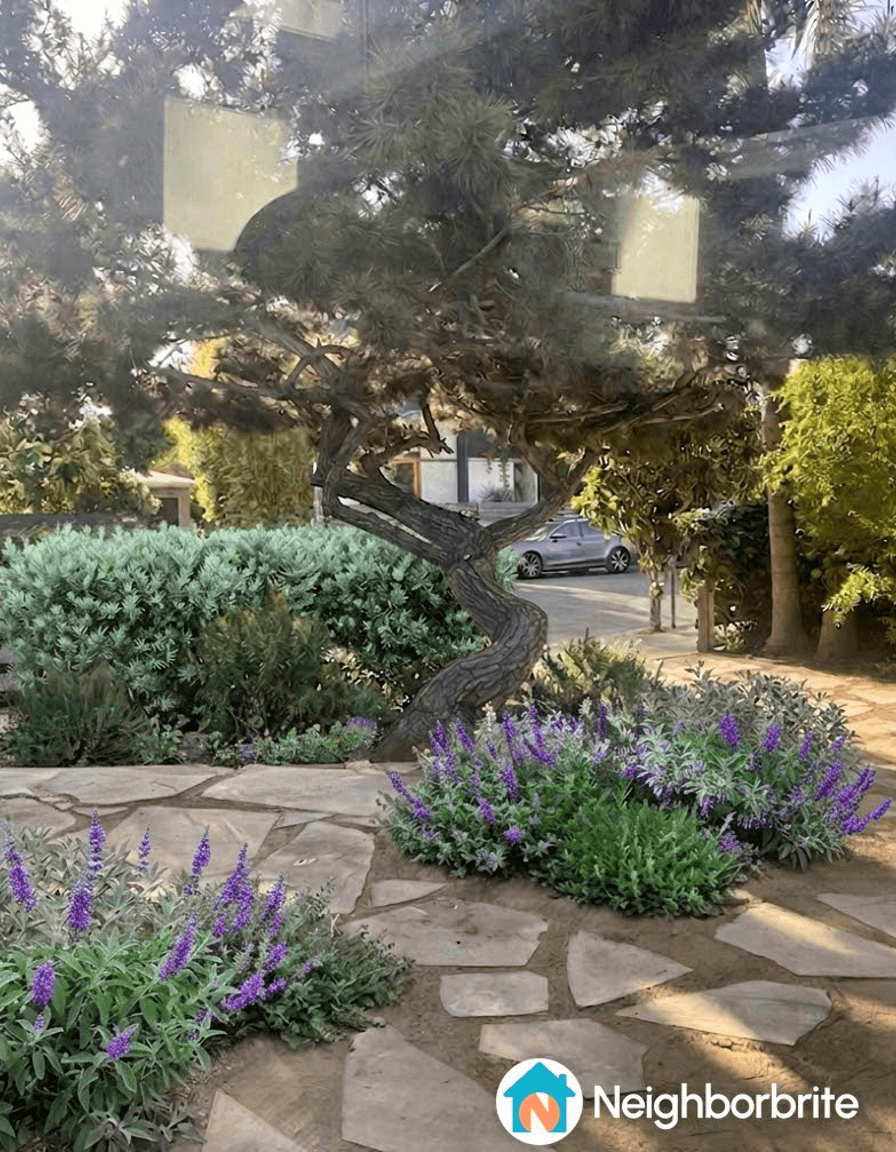 A landscaped garden featuring coastal plants and a unique tree.