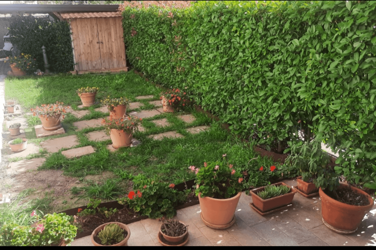 Giardino con prato a sinistra, pedana in legno al centro e ghiaia marrone a destra.