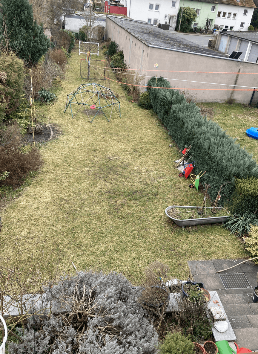 A garden space with play equipment and greenery, seeking floral ideas.