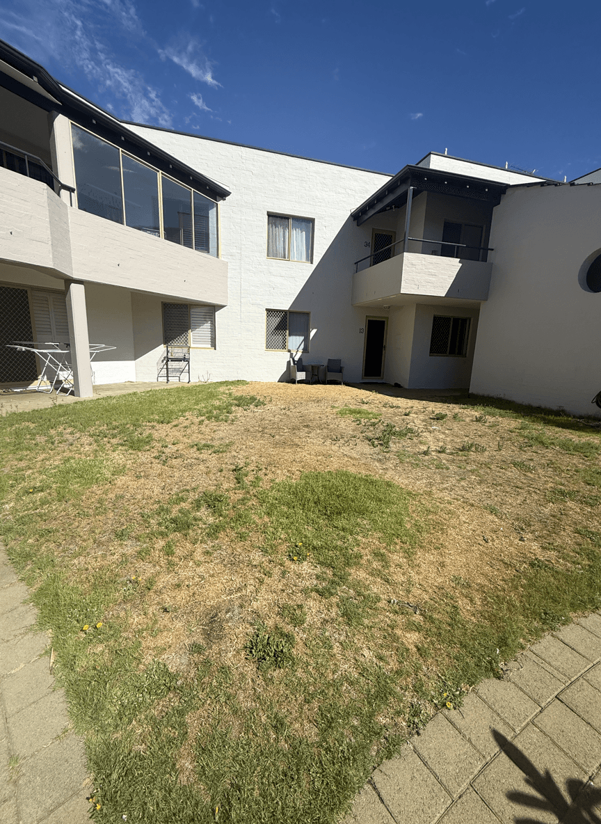 A yard space with dry grass and paving, planning for circular paving and a tree.