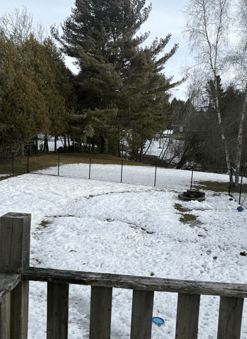 A snowy yard featuring a metal gazebo and oval flower beds.