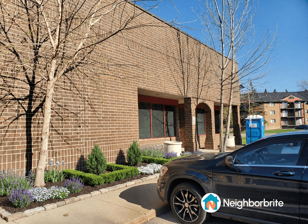 Landscape featuring tall columnar arborvitae and flowering plants.