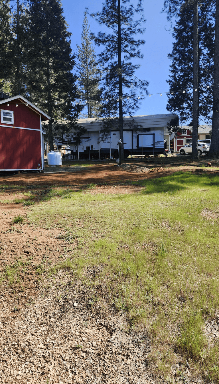 Cleared area next to a red tiny house with uneven soil and trees.