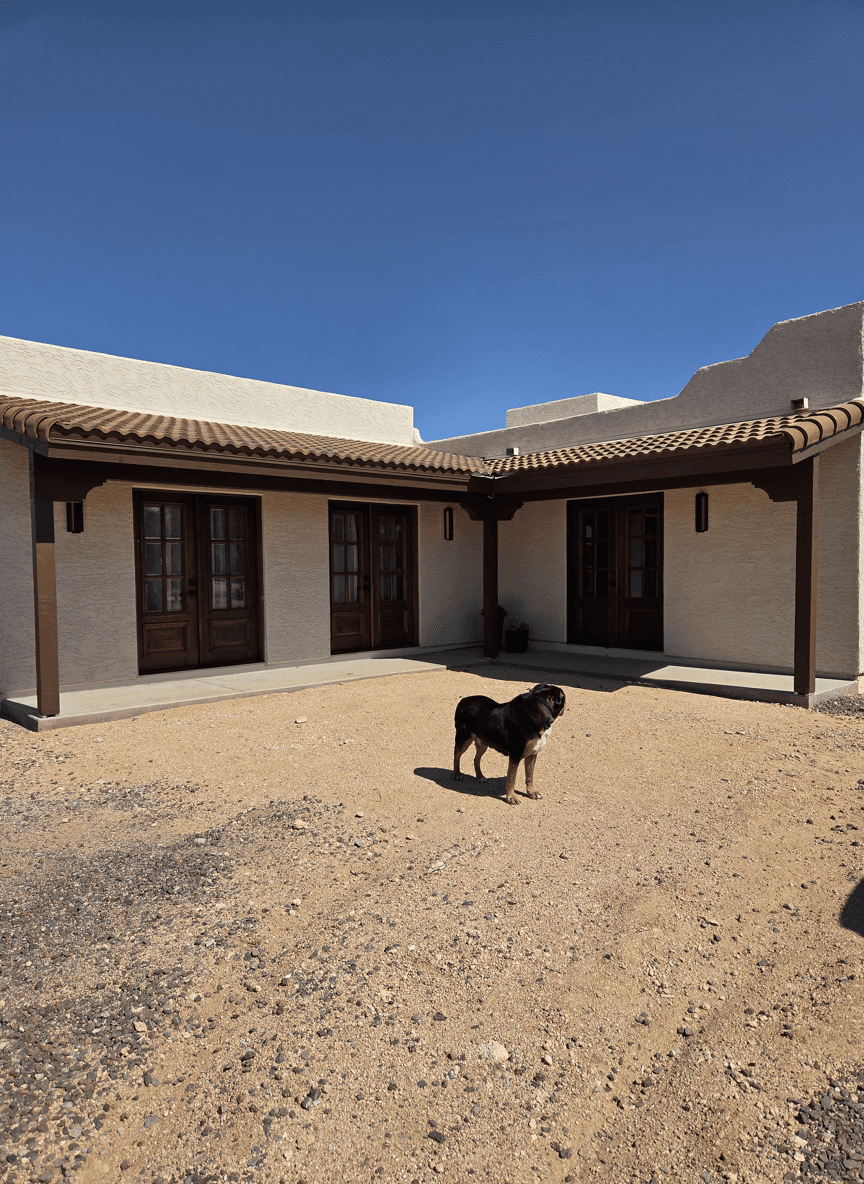 A courtyard with a dog, featuring a desert landscape design.